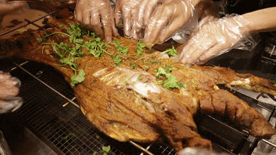 0cf1daa7a37945a6a4c9db30df35732f.gif