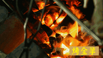 1.gif