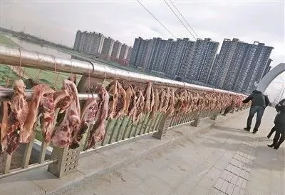  (5).JPG