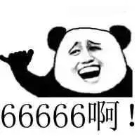 798.JPG
