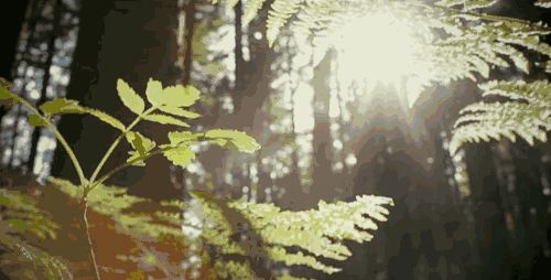 1503706947596.gif