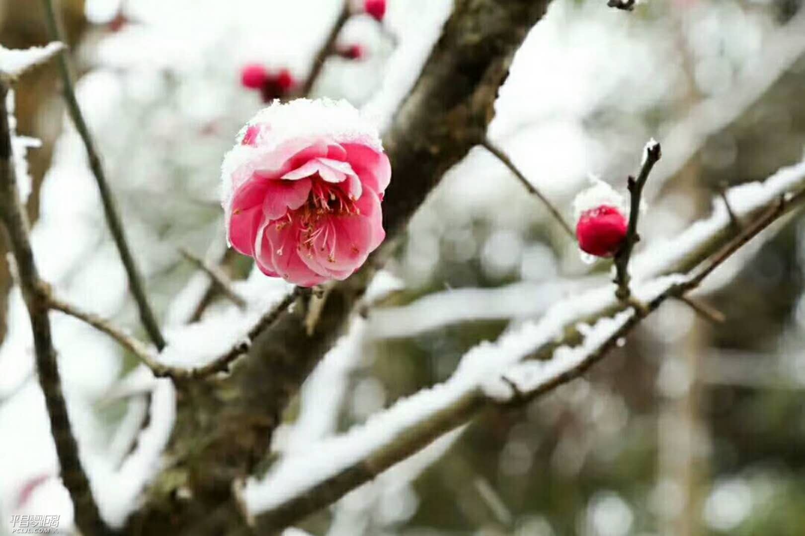 ΢ͼƬ_20180126110241.jpg