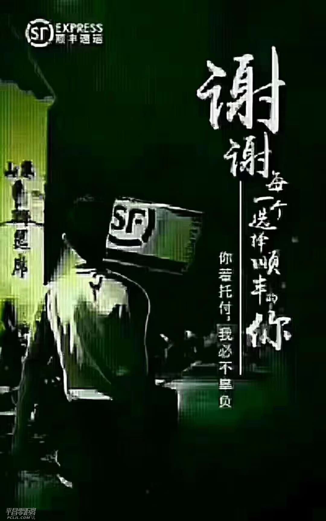 513256661536500307.jpg