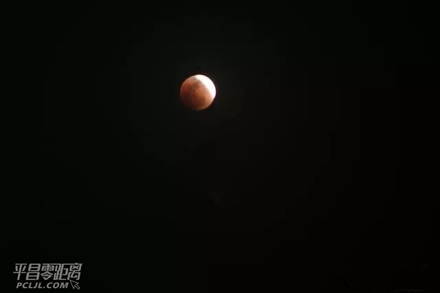 4974645.jpg