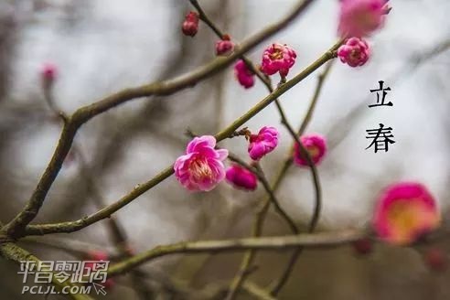 ΢ͼƬ_20180204104316.jpg