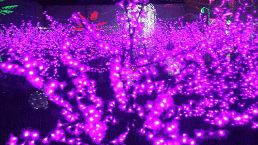 ΢ͼƬ_20180205161653.gif