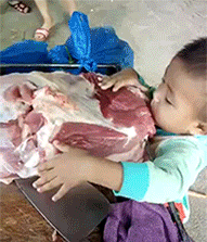3f240000fdc1e3088385.gif