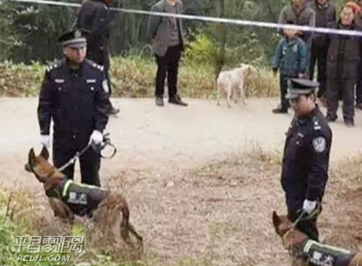 微信截图_20180413083720.png 微信截图_20180413083720.png