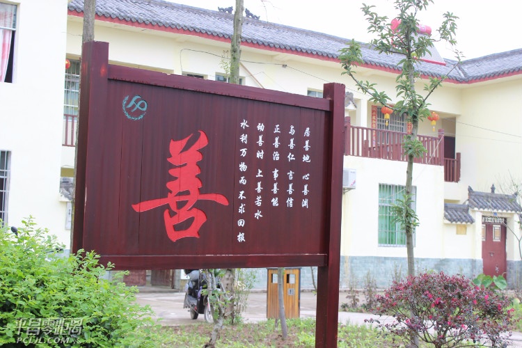 ca8781720430033.jpg