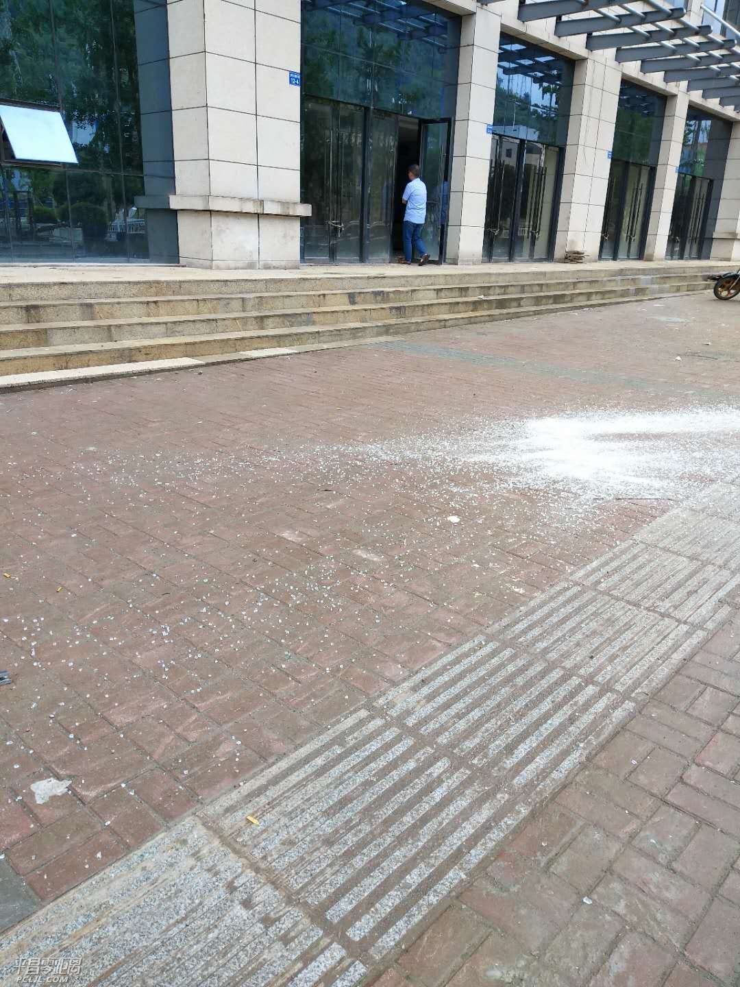 472711187345150141.jpg