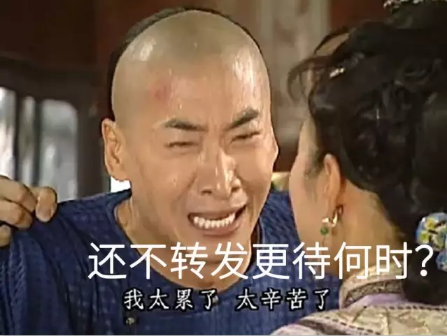 050d2cc631e656ec3aea6fee835ccaf.png