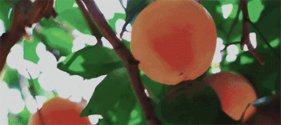 ΢ͼƬ_20180530092940.gif