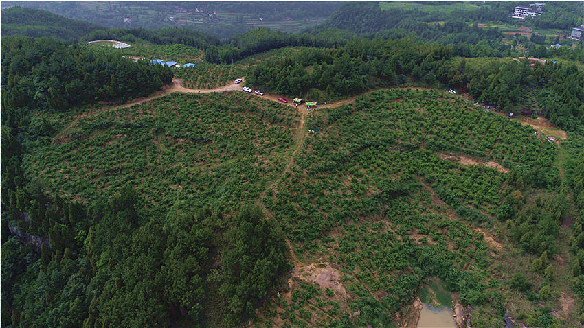 DJI_0003.JPG