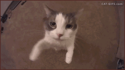 ΢ͼƬ_20180610161157.gif