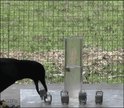 ΢ͼƬ_20180618153428.gif