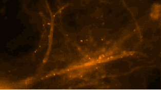 ΢ͼƬ_20180618153440.gif