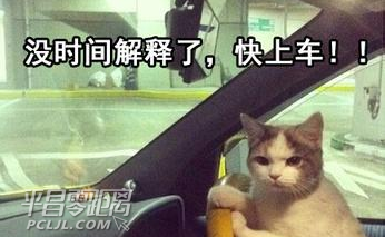 2345_image_file_copy_1.jpg