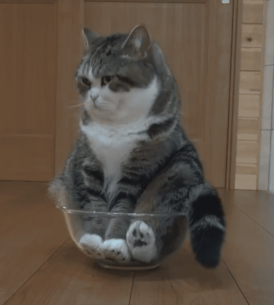 timg.gif10.gif