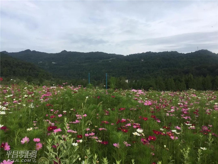 ΢ͼƬ_20180628145507.jpg