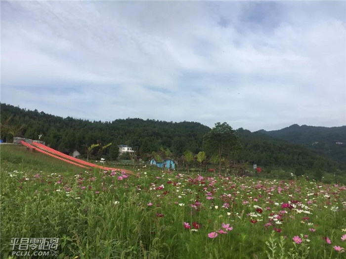 ΢ͼƬ_20180628145509.jpg