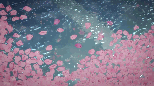 timg (2).gif