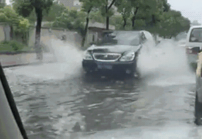 timg (4).gif