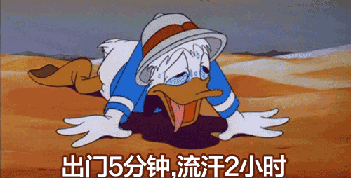 5f05c0e8cf594322b40bb0e747f98d1d_th.png