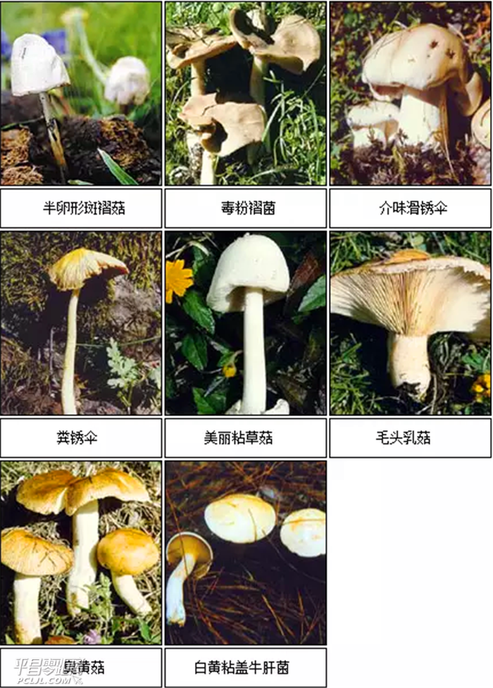 1531273805(1).png