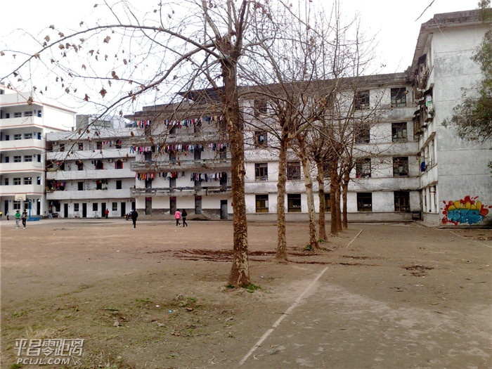 20113.jpg