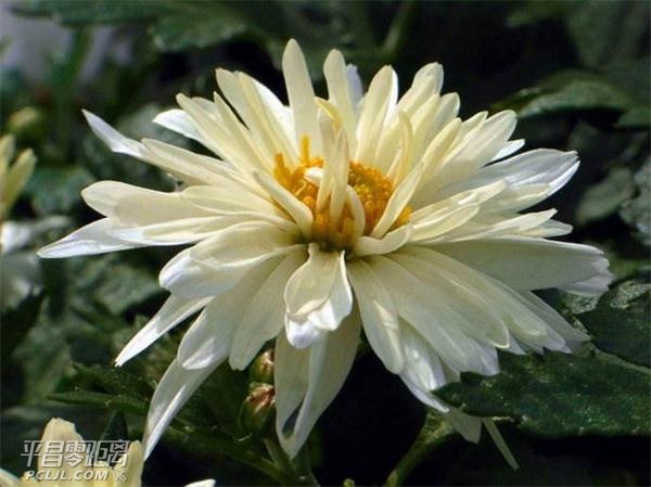 08095722qg0n.jpg