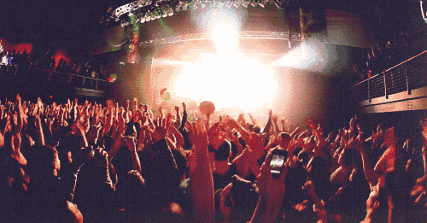 8.gif