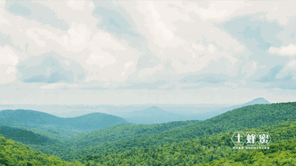 ΢ͼƬ_20181029152526.gif
