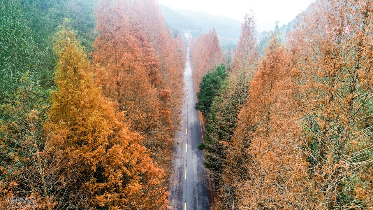 DJI_00281.jpg