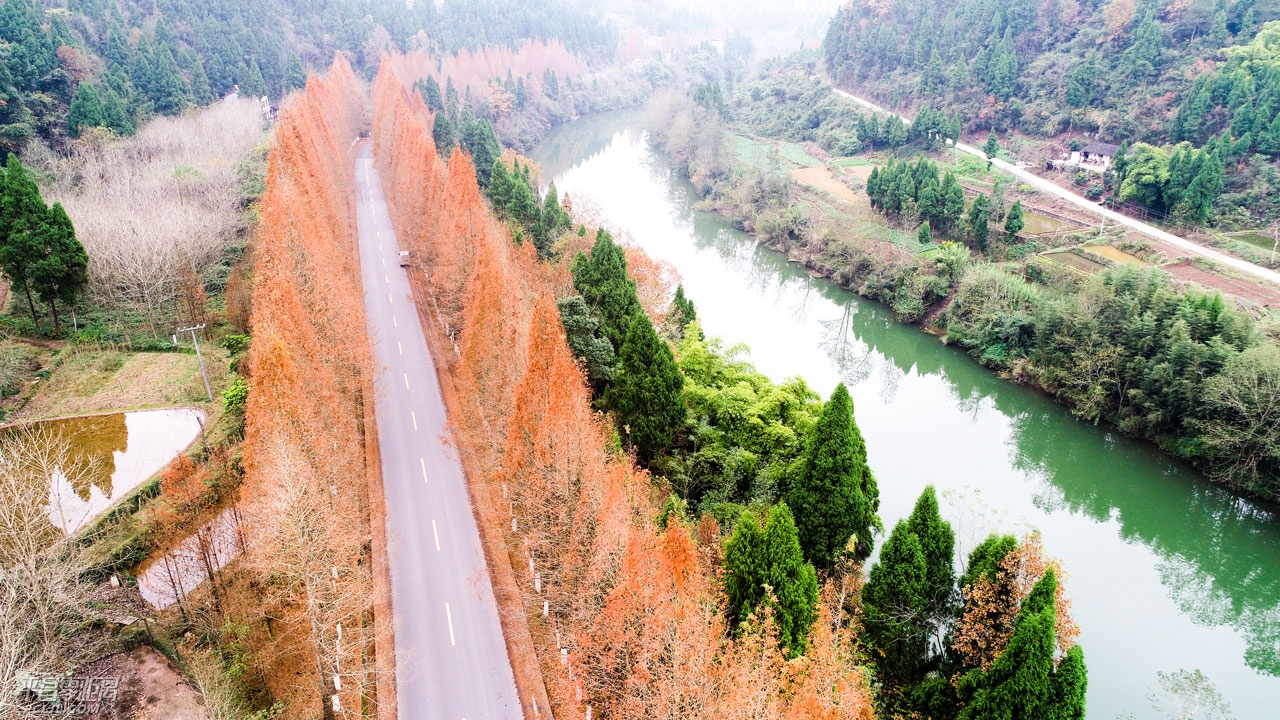 DJI_00416.jpg