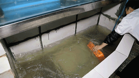 MVI_1505_480.gif