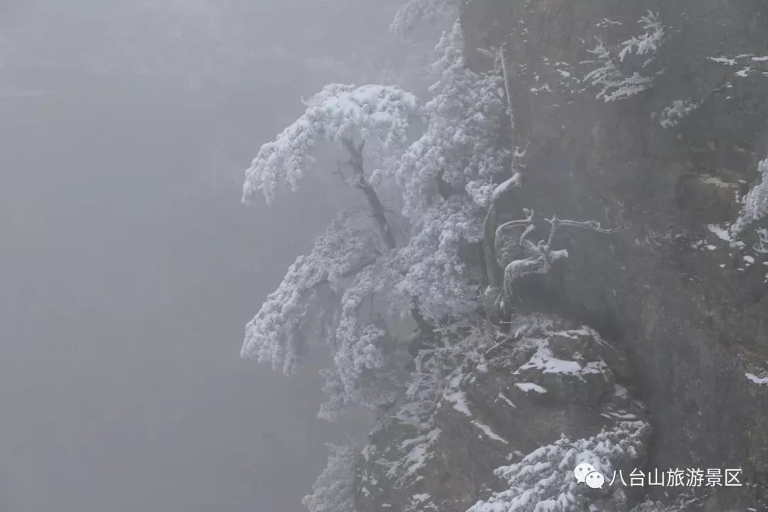 ΢ͼƬ_20190124160428.jpg