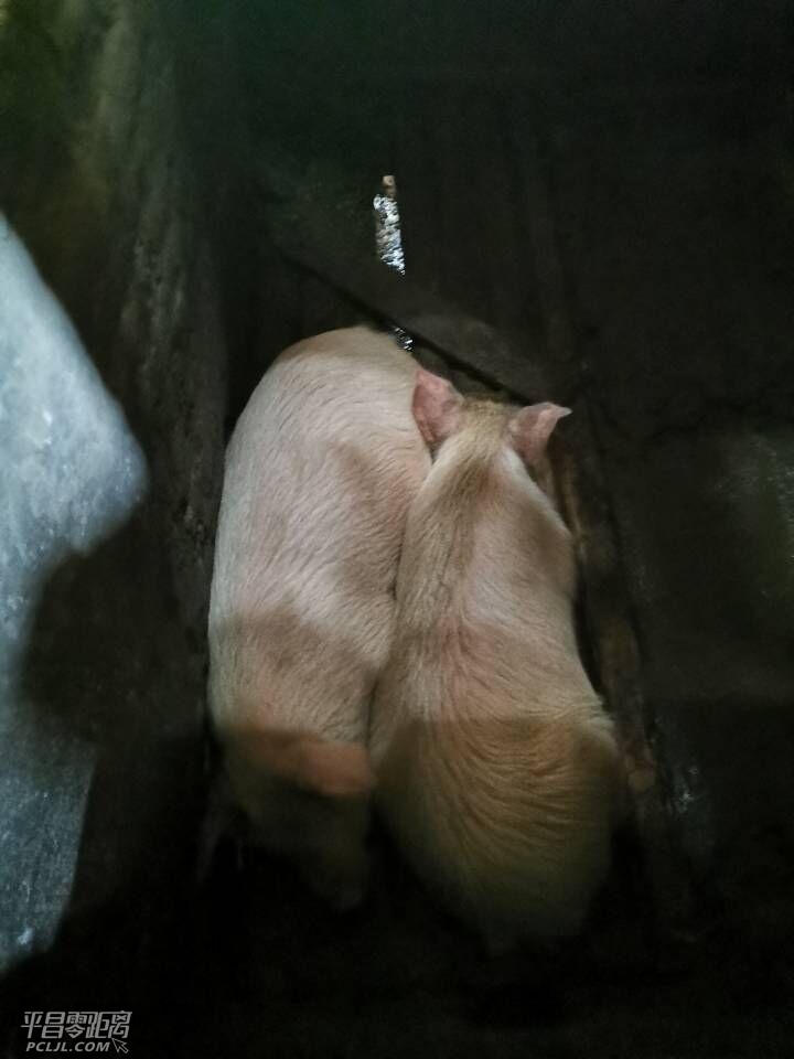 QQͼƬ20190220160710.jpg