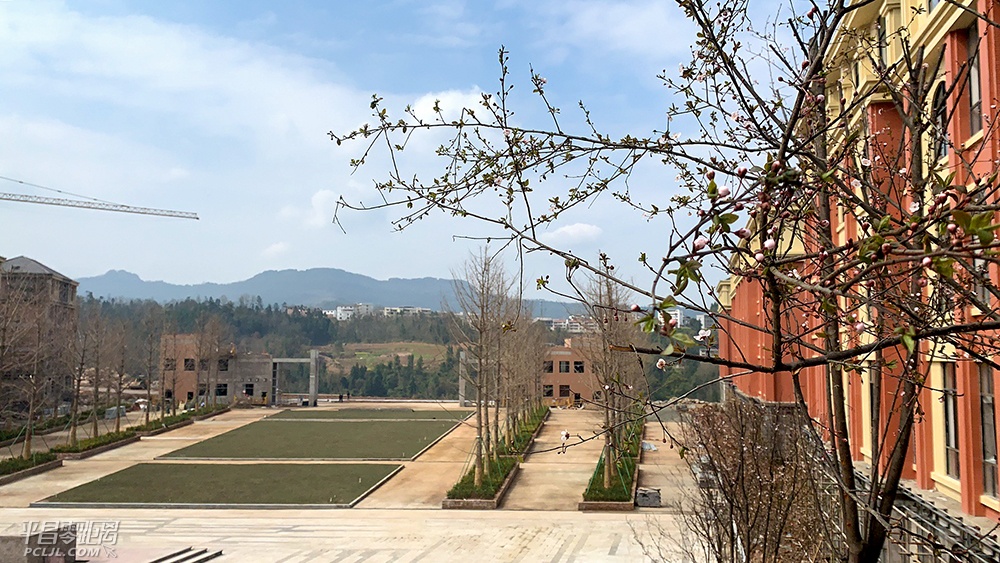 20190304103043.jpg