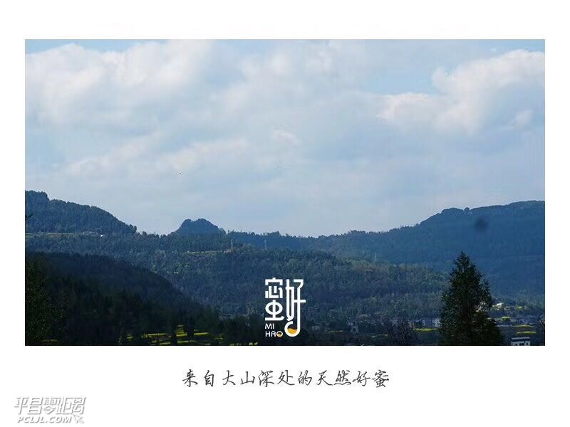 蜜好土蜂蜜