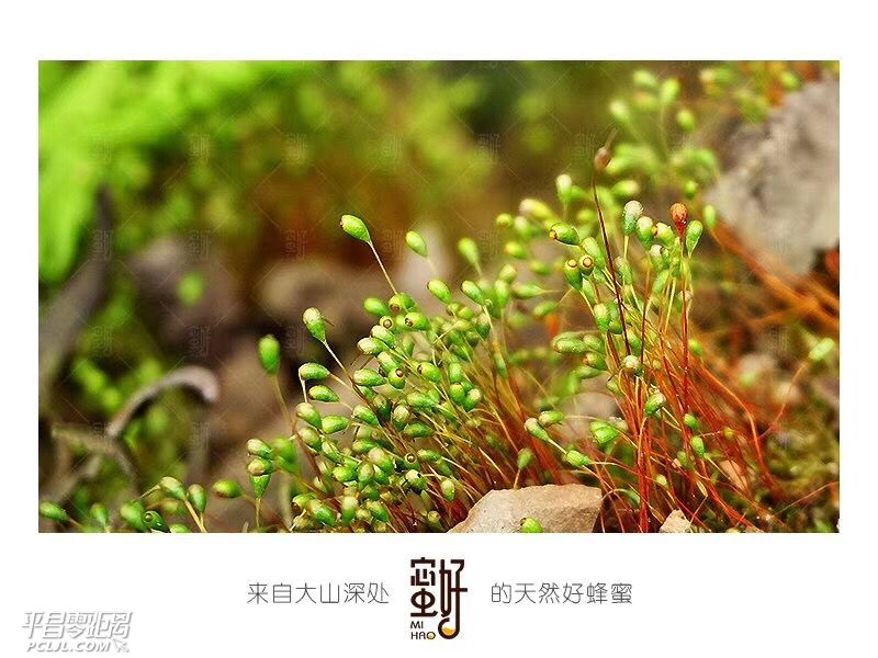 61DA7DEAB5A1003F5E47A659F0E10DE8.png