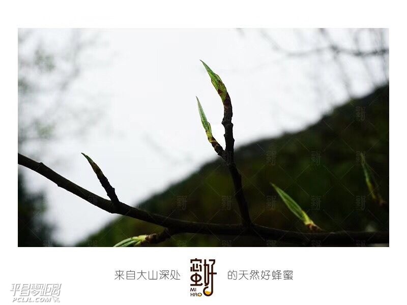 F252294AB34934E6EFE668973938CF1C.png