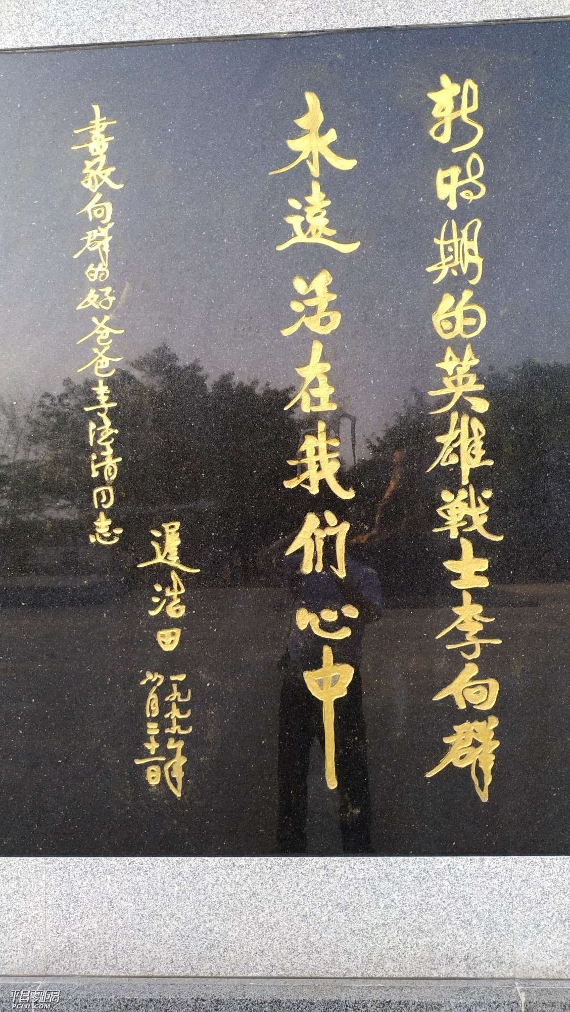 15533011005239_866.jpg