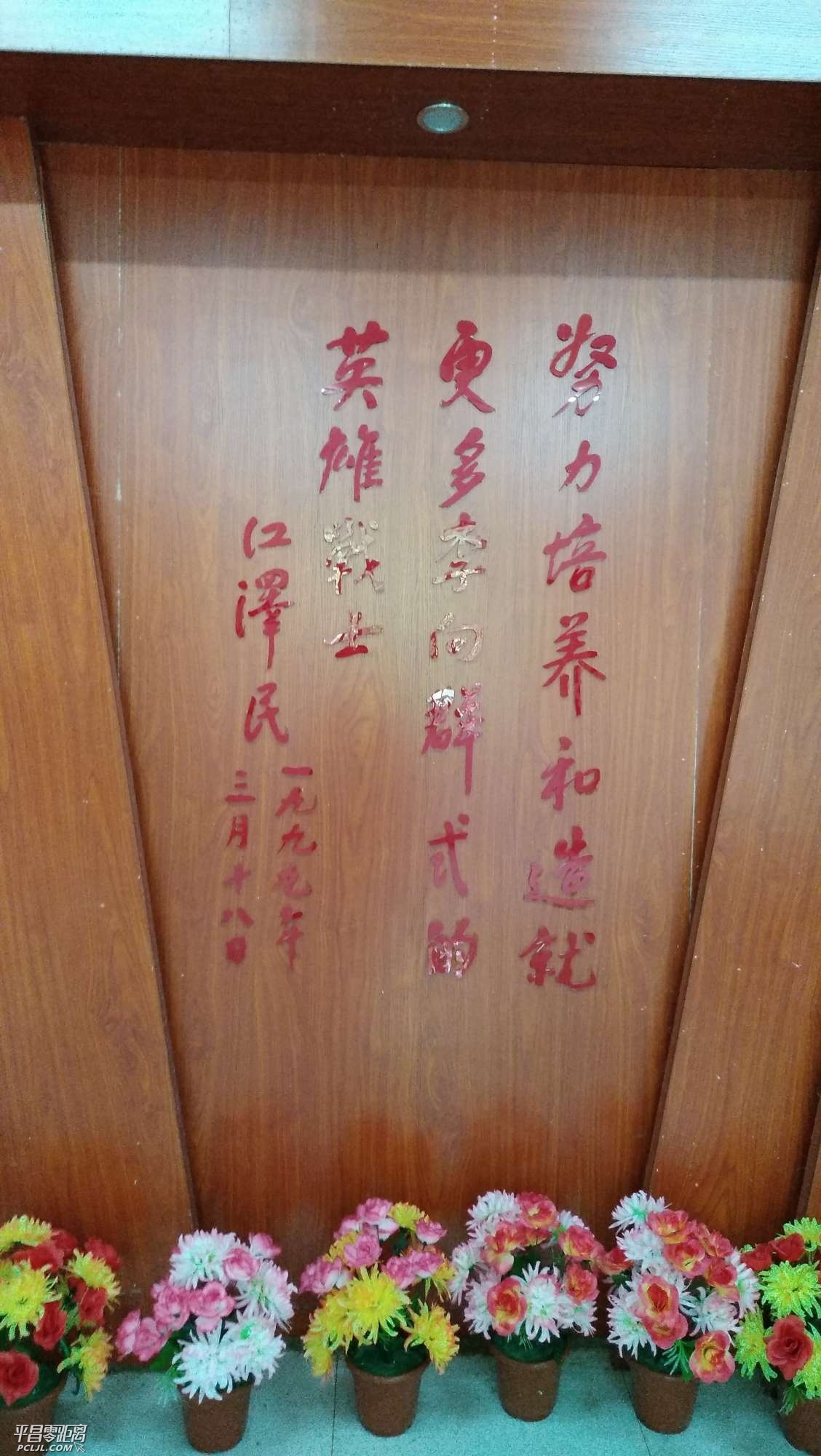 1553301555684399_197.jpg