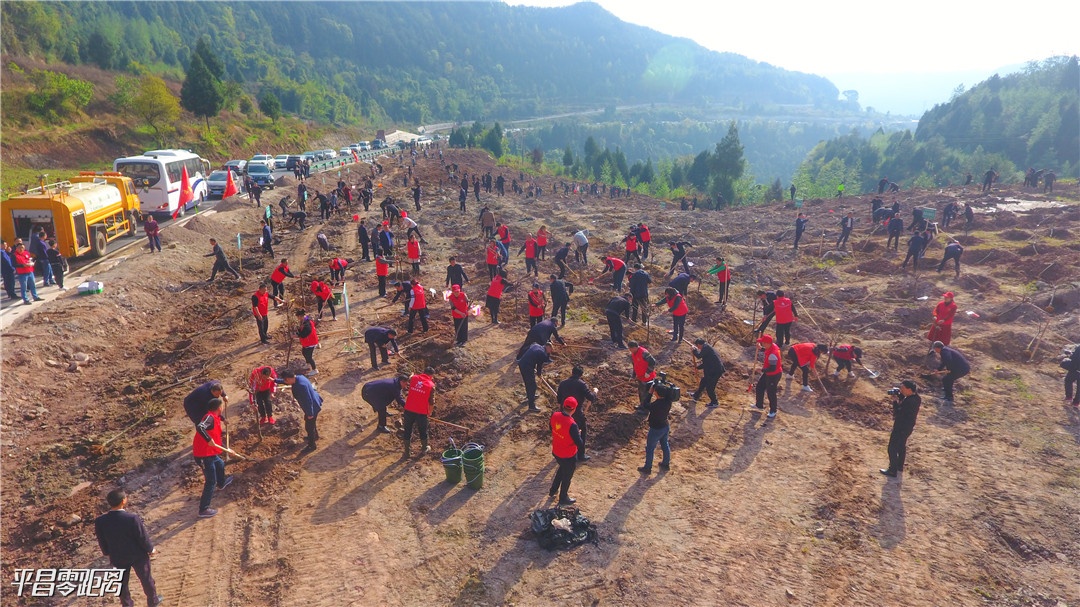 DJI_0011 - .JPG