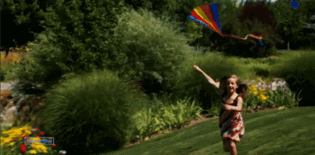 49498.gif 49498.gif