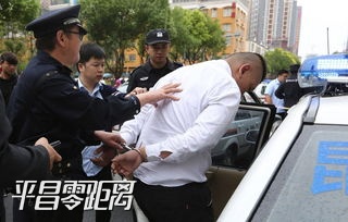 a503b8ccc40e5a72.jpg