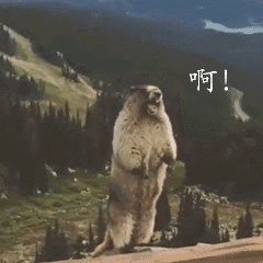 ΢ͼƬ_20190528160712.gif