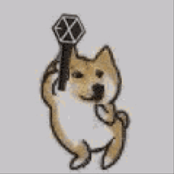 640-3.gif