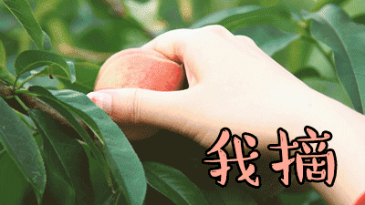 6470.gif