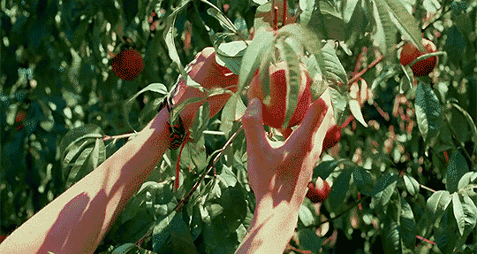 timg.gif